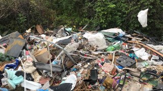 У Львові та на Пустомитівщині виявили шість стихійних сміттєзвалищ
