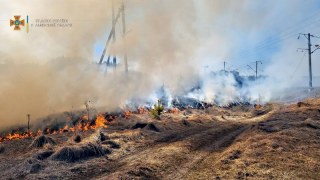 За добу на Львівщині зафіксували 19 пожеж сухостою