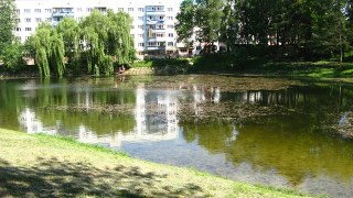 У озері одного з львівських парків втопилася людина