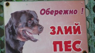На Пустомитівщині собаки насмерть загризли людину
