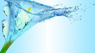 45% води у львівських джерелах не відповідають санітарним вимогам, – Держсанепідслужба