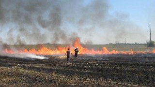 На Львівщині вогонь знищив посівні площі