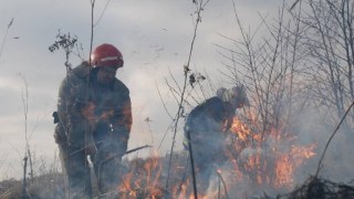 На Львівщині зафіксовано шість пожеж сухостою