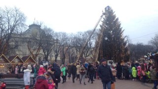 У 2019 році новорічні ялинки обійдуться Львову у 260 тисяч