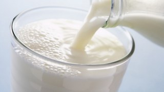 Янукович ветував закон, який відносить молоко до об'єктів державного цінового регулювання