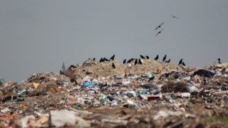 Буськ витратить майже 600 тисяч на утримання сміттєзвалища
