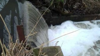 На Пустомитівщині стічні води забруднюють місцеву річку