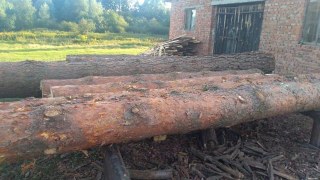 На Яворівщині біля пилорами виявили нечіповані колоди дерев
