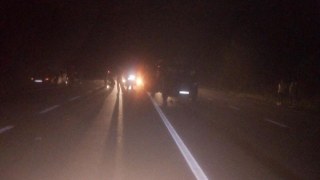 На Мостищині водій авто насмерть збив двох пішоходів
