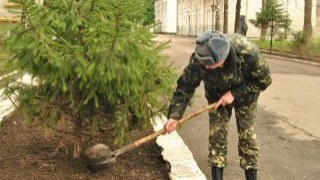 Безробітні та військові «тотально» прибирають Львівщину до Пасхи