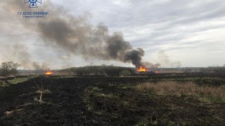 За добу на Львівщині зафіксували 12 пожеж сухостою