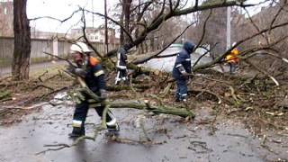 Через негоду на Львівщині знеструмило 43 населені пункти