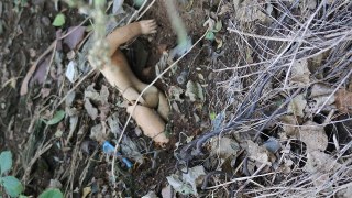 На Бориславському сміттєзвалищі знайшли мертве немовля