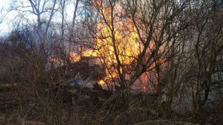У Городку пожежа знищила дві будівлі з дровами