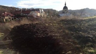 У Львові горіла трава у найбільшому парку