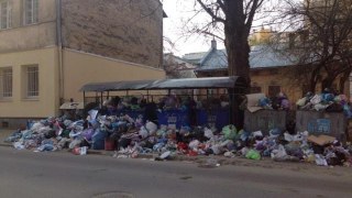 У Львові майже половина сміттєвих майданчиків є переповнена