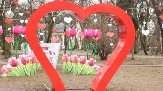 У Стрийському парку Львова три тижні висітиме романтична реклама