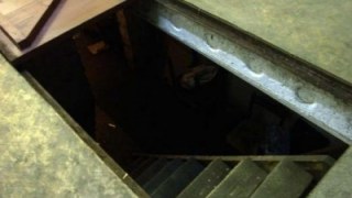 Працівники МНС врятували собаку, який застряг у підвалі (ВІДЕО)
