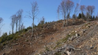 На Львівщині вимагають розслідувати діяльність керівництва парку Королівські Бескиди