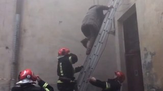 У Львові через пожежу в будинку загинув чоловік
