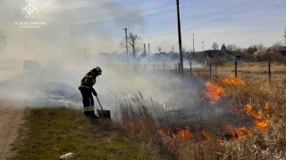 На Львівщині з початку року зафіксували понад 600 пожеж в екосистемах