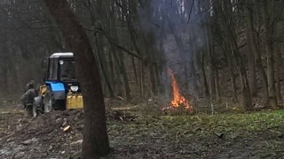 ЛКП пиляє здорові дерева у Снопківському парку під забудову, – адвокат