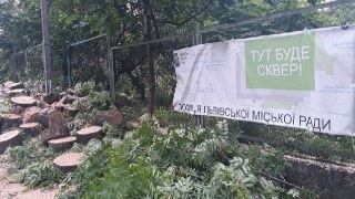 У Львові на місці обіцяного скверу зрубали дерева