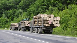 На Львівщині службовці лісгоспу "заробили" на махінаціях 700 тис грн.