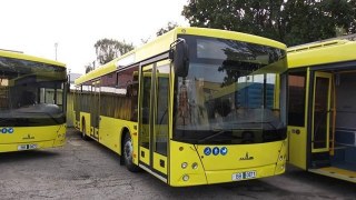 Нові автобуси МАЗ поїдуть Львовом наступного тижня