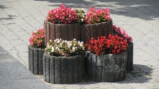 У Львові створили карту з квітковими локаціями
