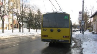 Минулоріч на Львівщині збільшився попит на трамваї та тролейбуси