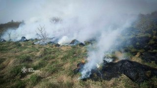 За добу на Львівщині зафіксували сім пожеж сухостою