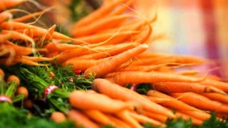 На Львівщині у травні на 24% зросли ціни на моркву