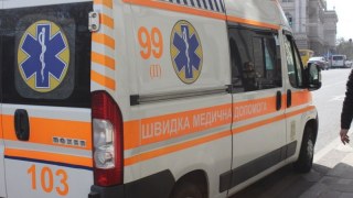 На Львівщині двоє дітей потрапили до лікарні через укус змії