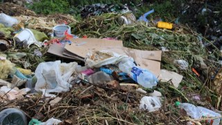 Львівський перевізник незаконно викинув сміття на Житомирщині