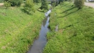 У річці на Золочівщині виявили багато забруднюючих речовин