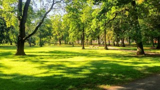 На Львівщині створять новий національний природній парк