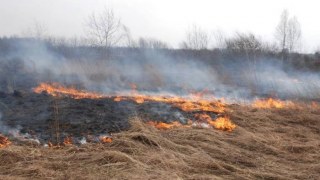 На Львівщині покарано 51 особу за порушення природоохоронного законодавства