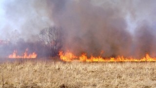 Минулої доби на Львівщині зафіксували 19 підпалів сухостою