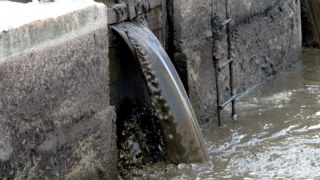 У Львові на вулиці Липинського невідомі знищують водойму