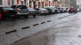 У Львові буревій повалив 27 дерев