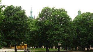 Міськрада виділила 930 тис грн на озеленення Львова