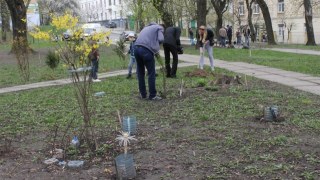 У Львові активісти облаштували власний громадський простір