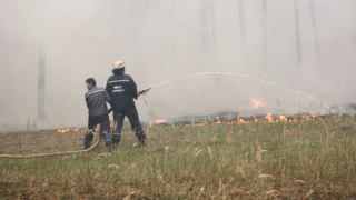 На Львівщині повністю погасили пожежу на торфовищі