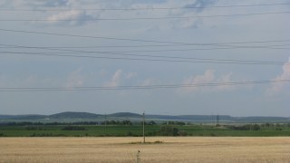 На Львівщині з початку дії ринку землі продали понад майже 300 гектарів