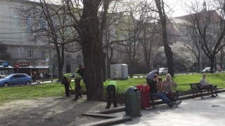 У Львові вирішили покосити газони у центрі міста