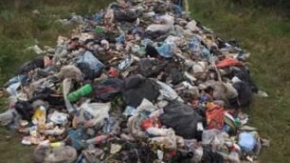 На Жовківщині поблизу лісу виявили незаконне сміттєзвалище