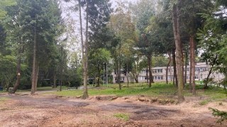На території однієї з лікарень Львова вирубали майже 200 дерев