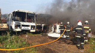 На Сокальщині в приватному господарстві згоріли автобуси ПАЗ