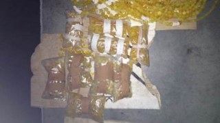 Українець незаконно перевозив 3 кг бурштину